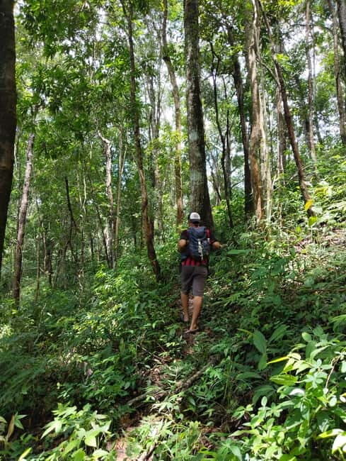Chiang Mai Authentic Trekking - Who This Chiang Mai Trek Suits Best (And Who Should Skip It)