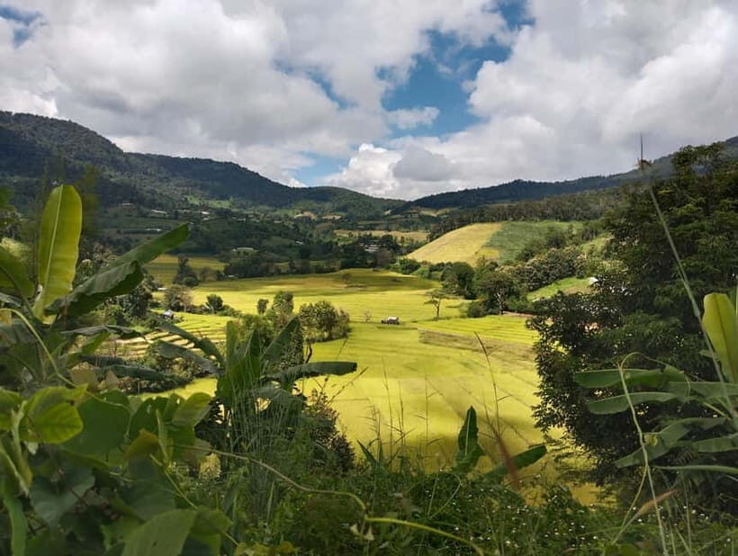 Chiang Mai Authentic Trekking - Trekking Through Rice Fields and Evergreen Forest (The 10–12 km Work Part)