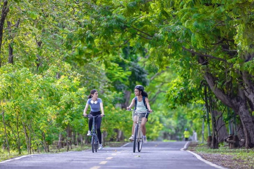 Chiang Mai Bicycle: Into The Lanna Countryside Guided Tour - Food and breaks: lunch/snacks, drinks, and a slower kind of sightseeing