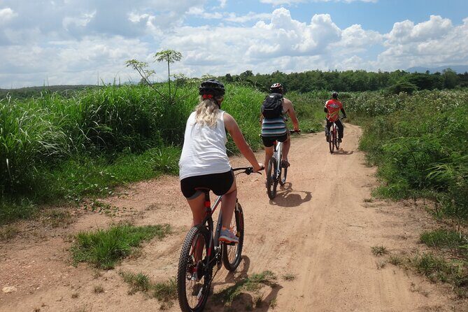 Chiang Mai Biking & River Kayak : Gentle Thrills in a Lush Valley - Lunch at Mango Plantation and the Included Comforts That Save You