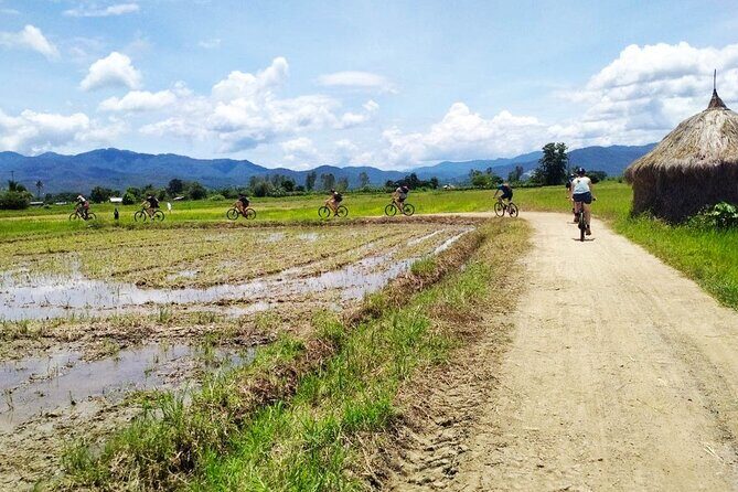 Chiang Mai Biking & River Kayak : Gentle Thrills in a Lush Valley - FAQ