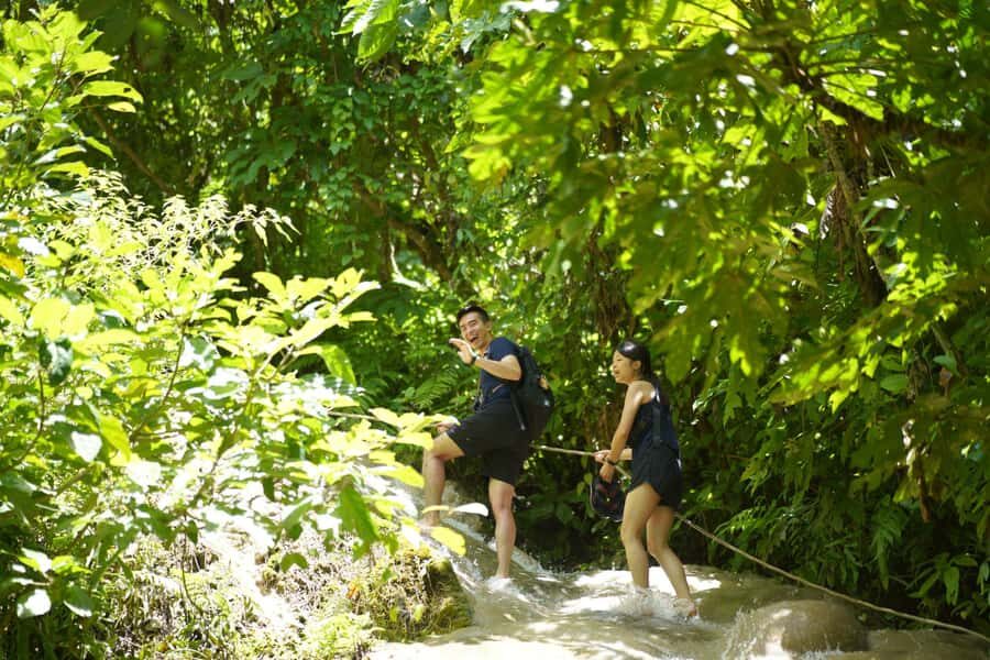 Chiang Mai: Bua Thong Sticky Waterfall & Huge Cave & Buffet - A Van-Delivered Day Trip from Chiang Mai City