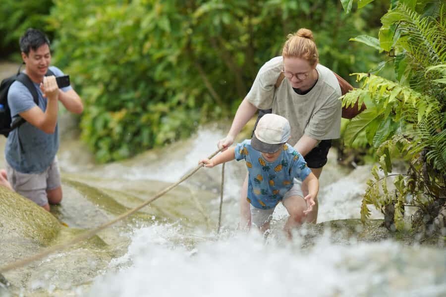 Chiang Mai: Bua Thong Sticky Waterfall & Huge Cave & Buffet - Lunch Break: Full Meal, Seasonal Fruit, and a Few Trade-Offs
