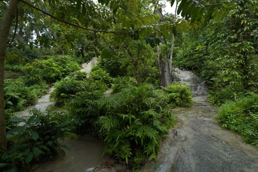 Chiang Mai: Bua Thong Sticky Waterfall & Huge Cave & Buffet - What the Guides Do That Makes This Tour Worth It