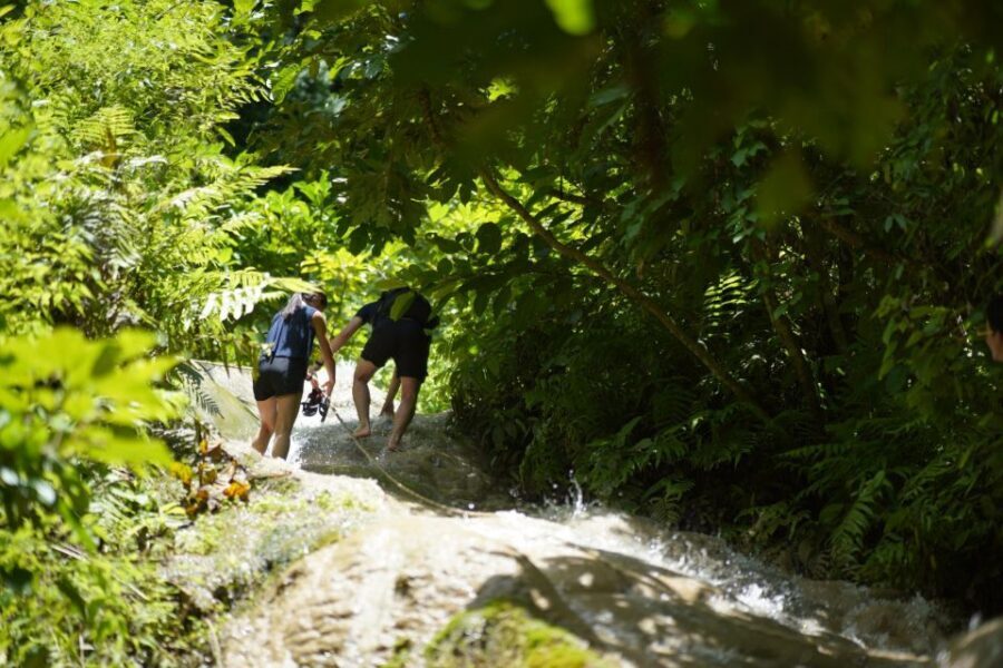Chiang Mai: Bua Thong Sticky Waterfall & Huge Cave & Buffet - Safety, Pace, and Who This Fits Best
