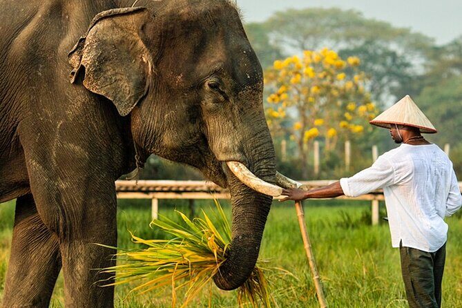 Chiang Mai Chapulin Elephant Care and Sticky Waterfall - The Optional Sticky Waterfall Add-On at Bua Thong
