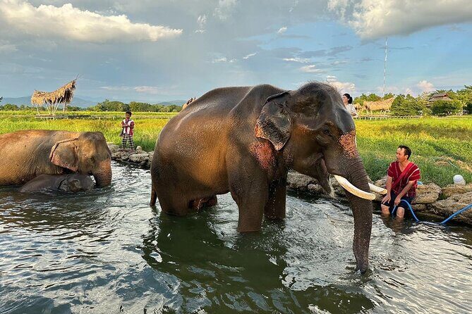 Chiang Mai Chapulin Elephant Care and Sticky Waterfall - Pickup, Meeting Point, and How to Plan Your Day