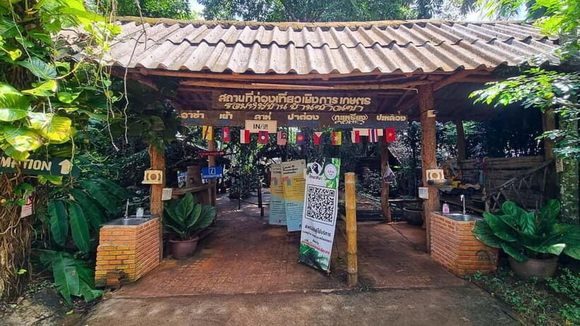 Chiang Mai: Chiang Rai Temples, Golden Triangle & Boat Tour - Karen Hill Tribe Culture and the Kew Mae Pan Seasonal Hike (Nov–May)