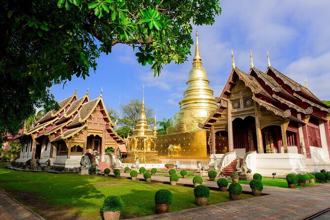 Chiang Mai City Tuk Tuk Tour - Half Day - Why a private tuk tuk half-day fits Chiang Mai perfectly