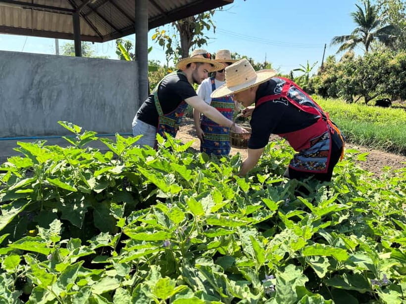 Chiang Mai : Cook in Farm, Market tour & Go by a Local Train - Should You Book This Chiang Mai Cook in Farm, Market Tour & Go by a Local Train?