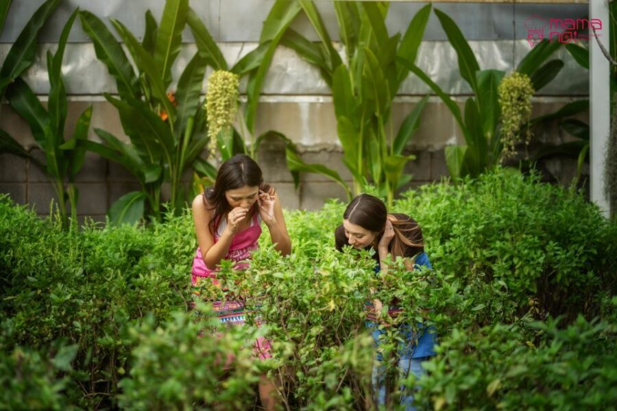 Chiang Mai: Cooking Class with Organic Farm at Mama Noi - Who this works best for (and who should rethink it)