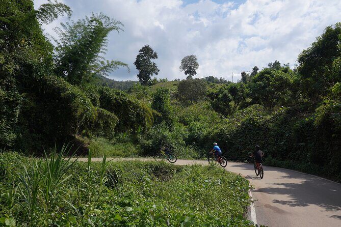 Chiang Mai: Cycling Nam Phare Countrysides, Breezy-Relax & Lunch - Value and Fit: Is This Worth $41.99 for Your Chiang Mai Day?
