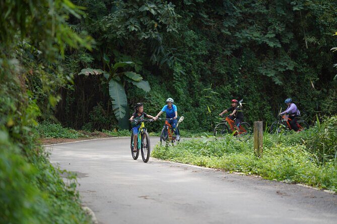 Chiang Mai: Cycling Nam Phare Countrysides, Breezy-Relax & Lunch - Route Flavor: Rice Fields, Village Atmosphere, and the Stops That Change the Mood