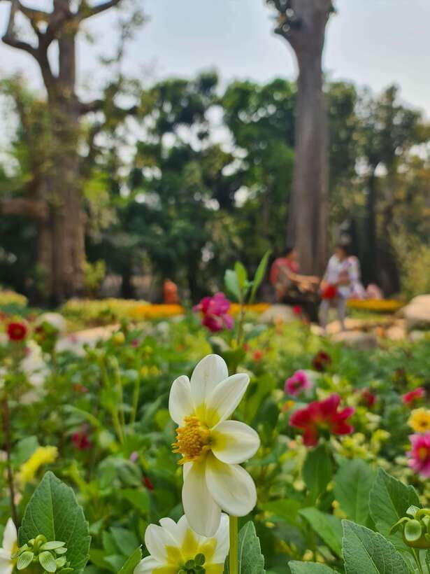Chiang Mai: Dantewada Land of Angels & Sticky Waterfall Tour - Land of Angels Has a Catch: It’s More Wander-and-Shoot Than Adventure
