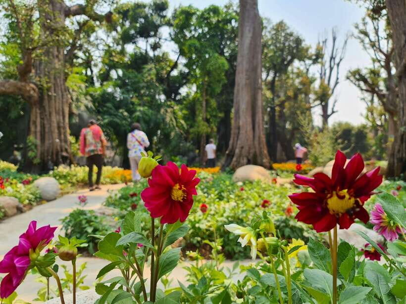 Chiang Mai: Dantewada Land of Angels & Sticky Waterfall Tour - Seven-Colored Fountain Trail: The Sacred Shoulder Cover