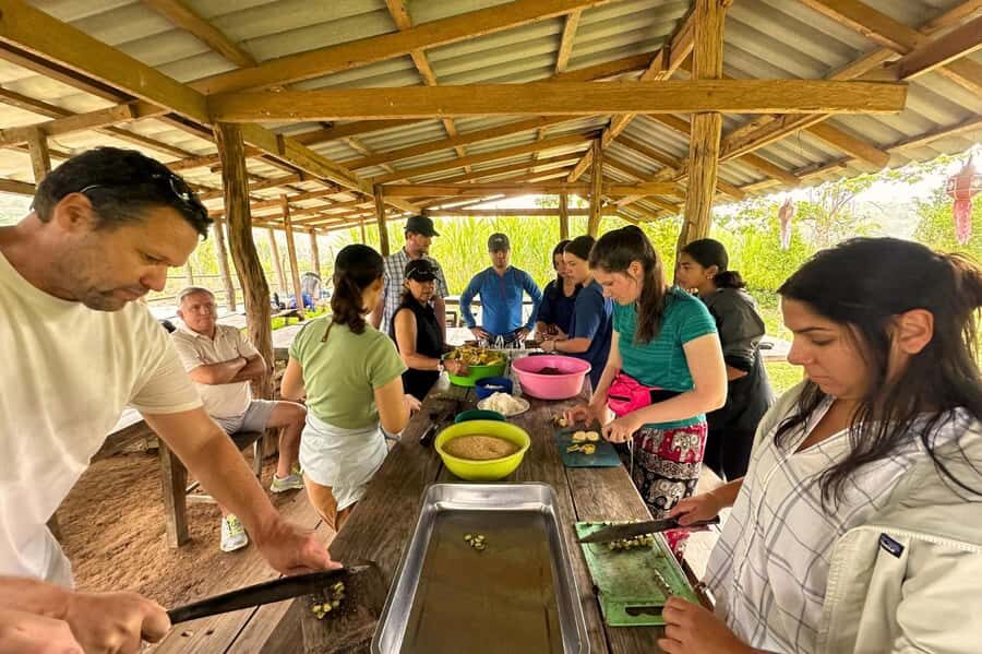 Chiang Mai: Day for Elephant Observation Only Half-day Trip - Key Things You’ll Notice Right Away