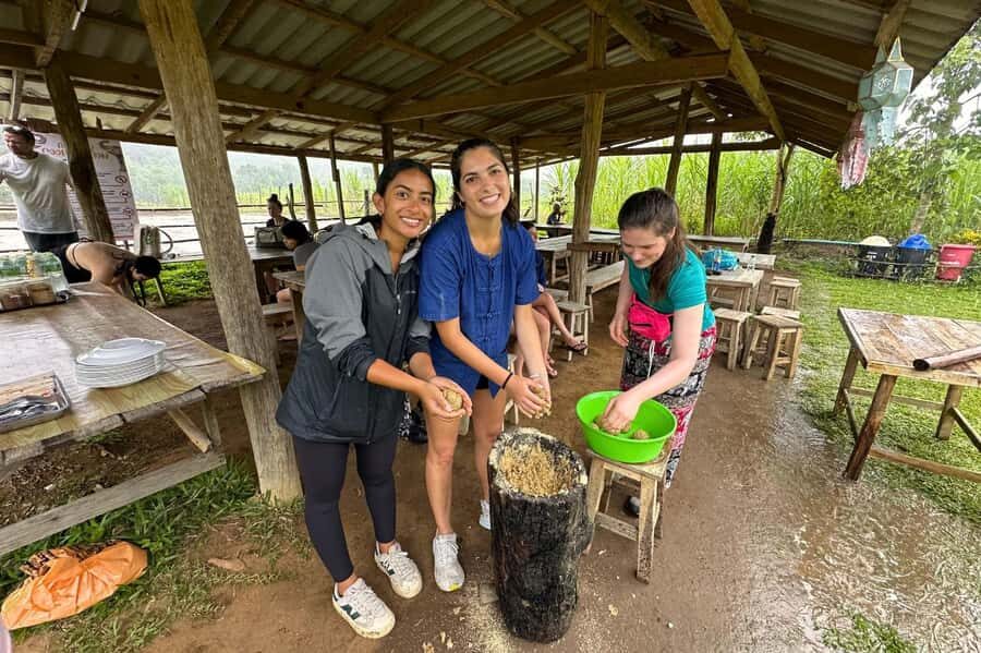 Chiang Mai: Day for Elephant Observation Only Half-day Trip - Big Boy Sanctuary and the No-Control Rules You’ll Feel in Person