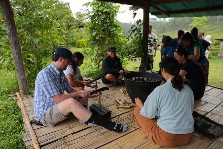Chiang Mai: Day for Elephant Observation Only Half-day Trip - Price and Value: Why About $46 Can Feel Fair Here