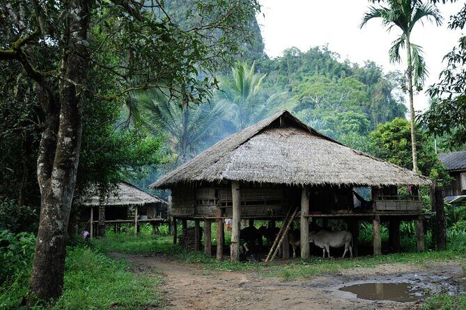 Chiang Mai Day Tour: Chiang Dao Cave and Hill Tribes - The guide factor: Emy’s herb-and-fruit teaching style