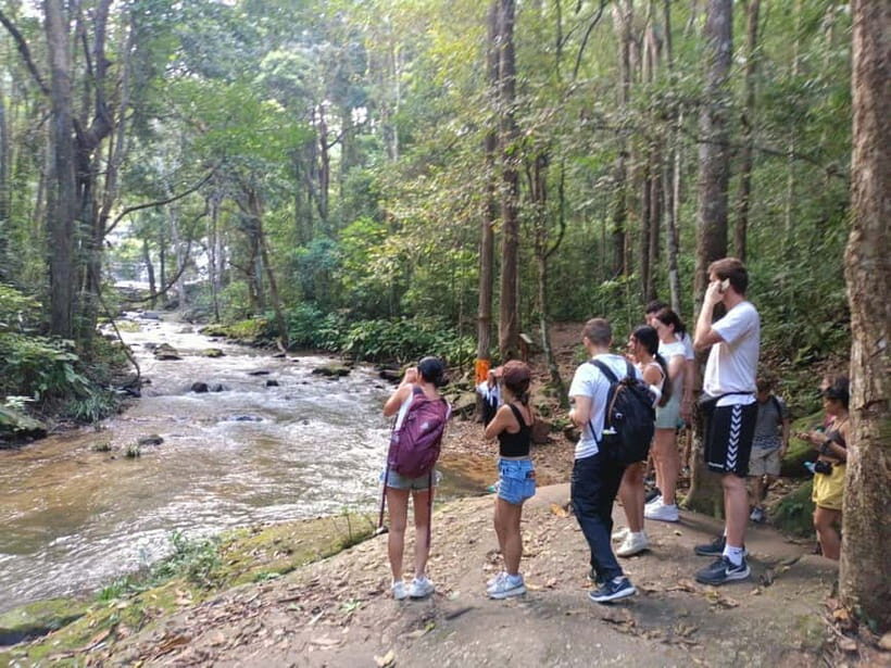 Chiang Mai: Doi Inthanon Hiking & Elephant Sanctuary Program - Who this tour fits best (and who should skip it)