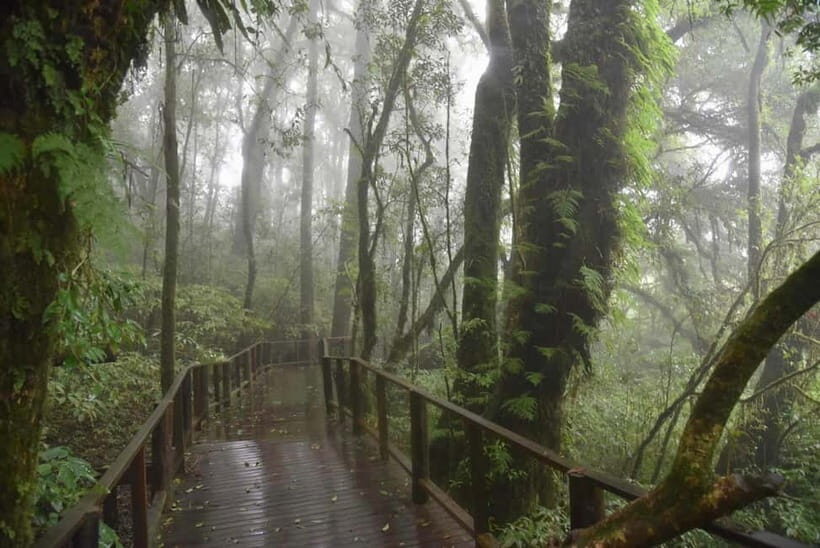 Chiang Mai: Doi Inthanon National Park and Kew Mae Pan Tour - Twin Pagodas at Doi Inthanon: Gardens, King-and-Queen Symbolism, and Foggy Views