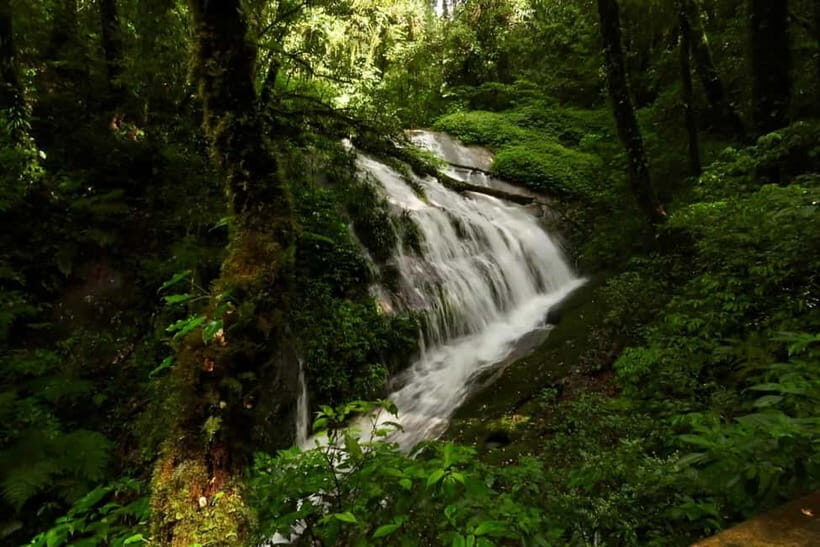 Chiang Mai: Doi Inthanon National Park and Kew Mae Pan Tour - Guide Quality Matters: Names I’ve Seen and What to Expect