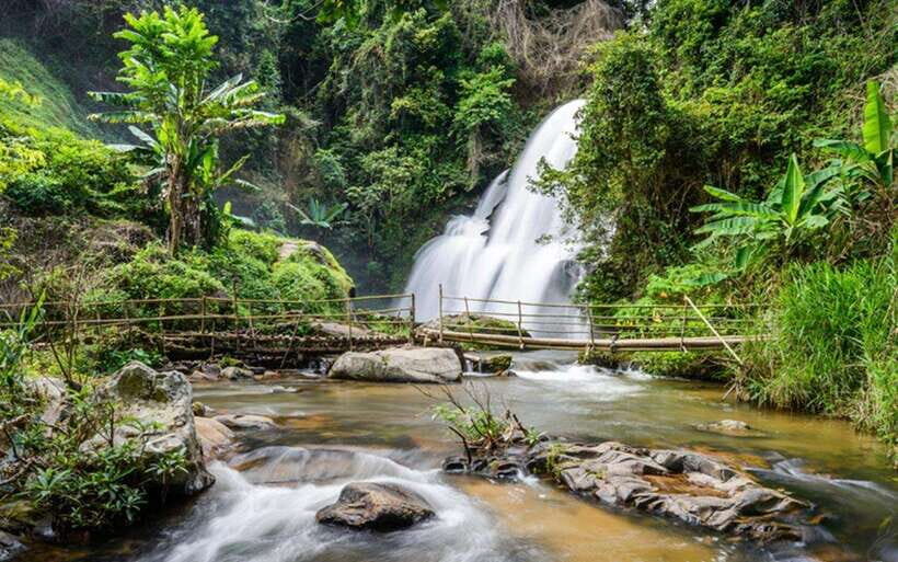 Chiang Mai: Doi Inthanon National Park and Pha Dok Siew Trek - Key things that make this Doi Inthanon day trip worth your time