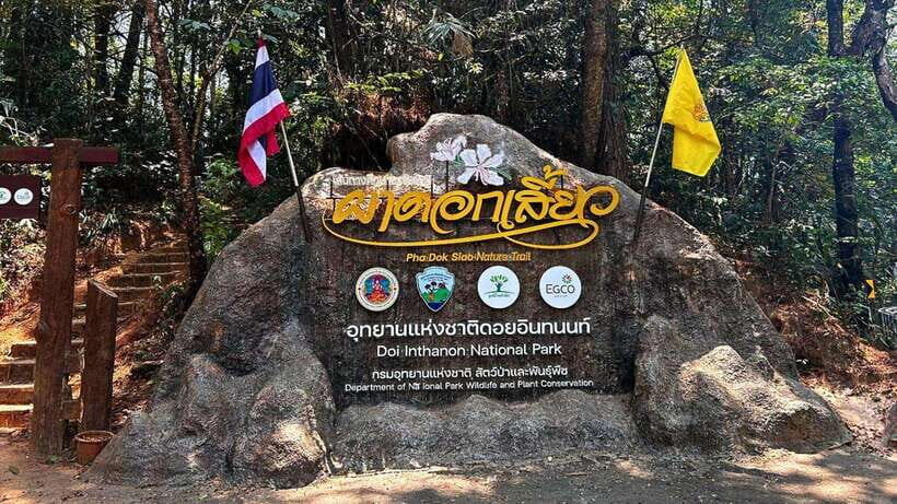 Chiang Mai: Doi Inthanon National Park and Pha Dok Siew Trek - From Chiang Mai pickup to Doi Inthanon’s cool mountain air