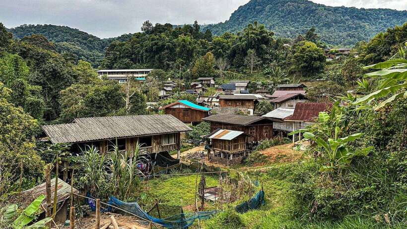 Chiang Mai: Doi Inthanon National Park and Pha Dok Siew Trek - Pha Dok Siew Nature Trail: the easy-moderate part that still asks for sturdy shoes