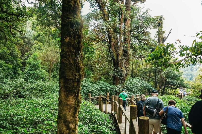 Chiang Mai: Doi Inthanon National Park Eco-Friendly Tour - The real rhythm: van time, small-group feel, and what’s not a hike
