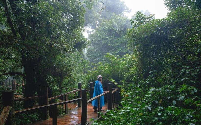 Chiang Mai: Doi Inthanon National Park Sightseeing Only - Thai Hmong market and Ban Mae Klang Luang: coffee tasting plus shopping time