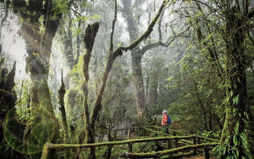 Chiang Mai: Doi Inthanon National Park Sightseeing Only - Your morning start: pickup, a café break, then up the mountain