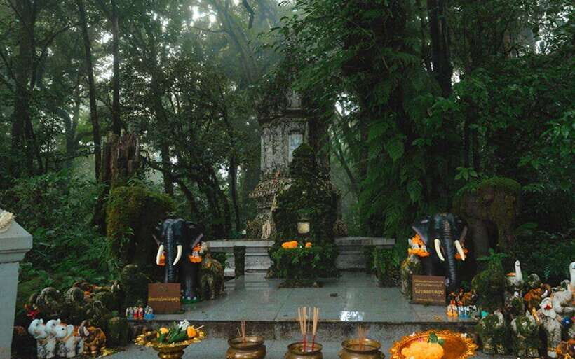 Chiang Mai: Doi Inthanon National Park Sightseeing Only - Ang Ka Luang Nature Trail: a quick rainforest-style reset