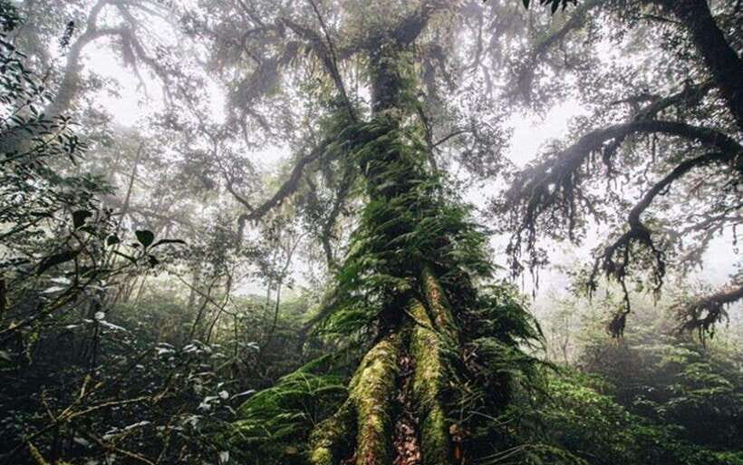 Chiang Mai: Doi Inthanon National Park Sightseeing Only - Sirithan and Wachirathan Waterfalls: short stays, big photo energy