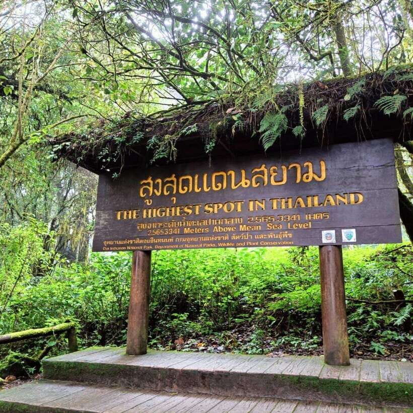 Chiang Mai: Doi Inthanon National Park & Waterfall Day Tour - Lunch at midday: Thai set menu and real comfort