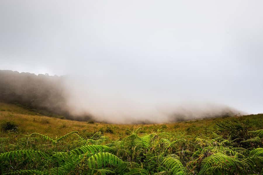 Chiang Mai: Doi Inthanon National Park, Waterfall & Lunch - Doi Inthanon in one day: why this trip is worth your time