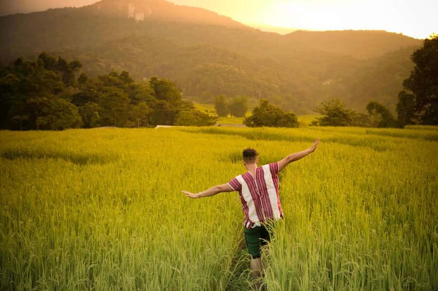 Chiang Mai: Doi Inthanon National Park, Waterfall & Lunch - Into the park: Thailand’s highest point and the best viewpoints
