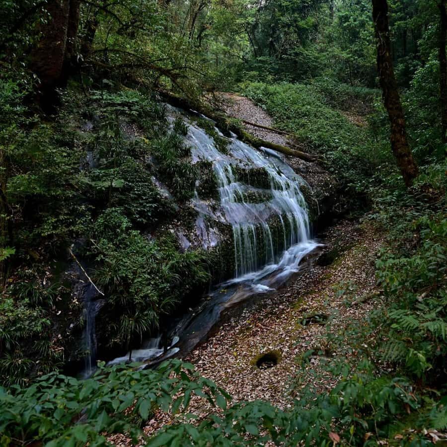 Chiang Mai: Doi Inthanon National Park, Waterfall & Lunch - Karen Village lunch: local life in the middle of the day