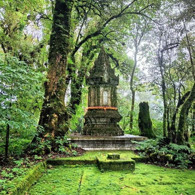 Chiang Mai: Doi Inthanon National Park+Trek Pha Dok Siew - The Pha Dok Siew Nature Trail Trek: Short, Guided, and Practical