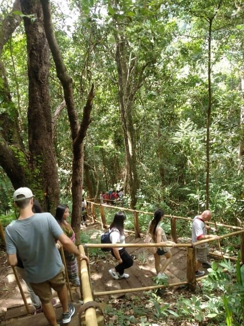 Chiang Mai: Doi Inthanon Park and Pha Dok Siew Hike Day Trip - Wachirathan Waterfall Stop: Timing, Photos, and Swimming Rules