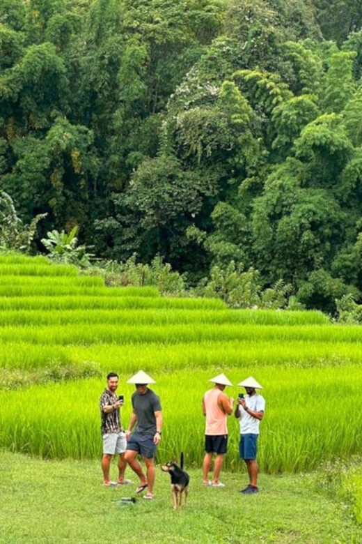 Chiang Mai: Doi Inthanon Park and Pha Dok Siew Trail Trek - Doi Inthanon Day Trips: Why This One Works Better Than a Classic Sightseeing Loop