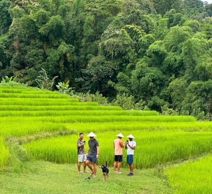 Chiang Mai: Doi Inthanon Park and Pha Dok Siew Trail Trek - Hmong Market Time and Lunch: Eating Local Without the Detour Tax
