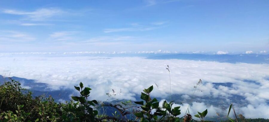 Chiang Mai: Doi Inthanon Park Day Trip with Kiw Mae Pan Hike - Kew Mae Pan Nature Trail: your guided green-hour walk