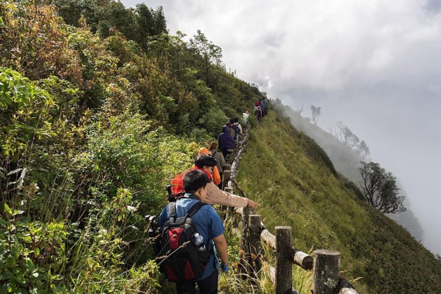 Chiang Mai: Doi Inthanon Park Day Trip with Kiw Mae Pan Hike - Lunch that actually helps on a long day