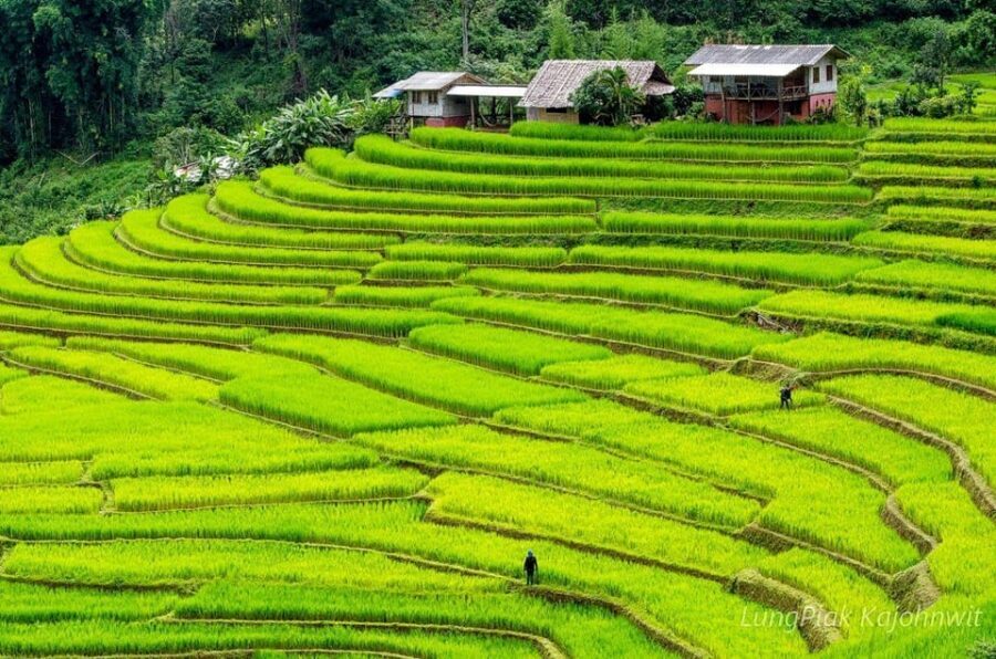 Chiang Mai Doi Inthanon Park Waterfall Pure Sightseeing Tour - Wachirathan and Mae Klang waterfalls: misty viewpoints and easy drama