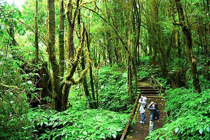 CHIANG MAI: Doi Inthanon-Trekking Keiw Mae Pan-Waterfall-Lunch - Small group hiking means less waiting and more questions