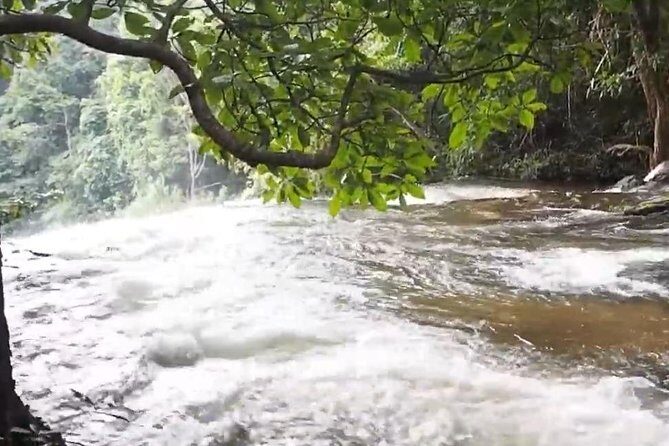 CHIANG MAI: Doi Inthanon-Trekking Pha Dok Seaw-Waterfall-Lunch - Lunch in the mountains: included, set-menu, and best treated as fuel