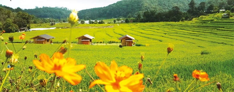 Chiang Mai: Doi Inthanon Trip with Pha Dok Siew Guided Trek - Price and the national park fee math: how to get value out of your $50