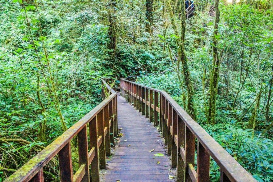 Chiang Mai: Doi Inthanon, Waterfalls, & Tribal Villages Tour - Karen and Hmong hill tribes: culture you can learn from (and where the limits show)