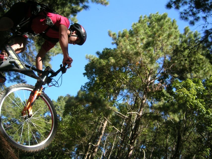 Chiang Mai: Doi Suthep National Park Leisure Hiking & Biking - Price and value: $60 for a guided, gear-supported day